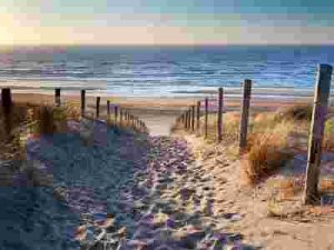 sand dune pathway to ocean beach