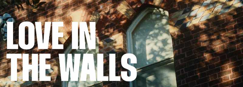 Love in the Walls promo image